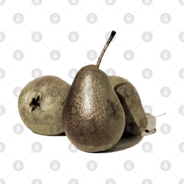 bronze pears by DarlaHallmark