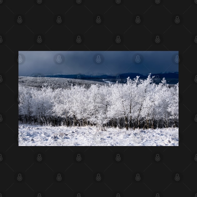 Winter Scene  with the Mountains in the background. by CanadianWild418