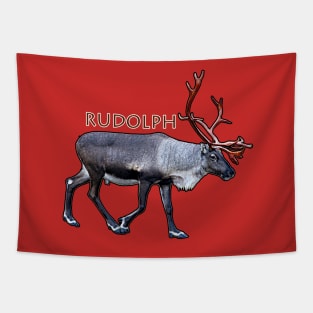 Santa Claus Reindeer Tapestry