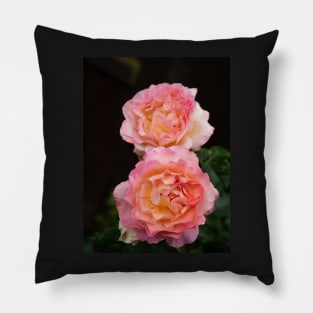 Pink rachel two rose flowers in bloom Pillow