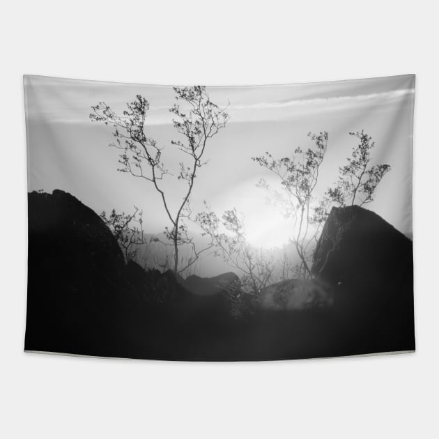 Black and White Sunset Tapestry by HutzcraftDesigns