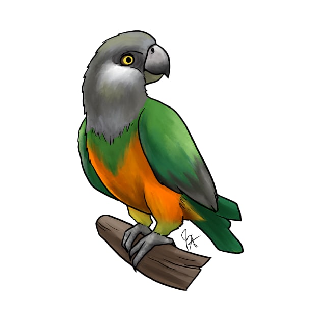 Bird - Senegal Parrot - Orange Bellied by Jen's Dogs Custom Gifts and Designs