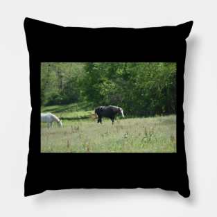 Wild Horse Pillow