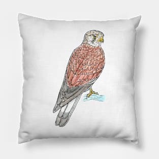 Nankeen Kestrel Pillow