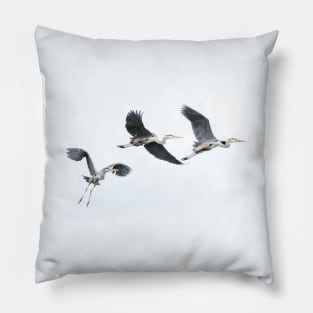 Flight of Great Blue Herons Pillow