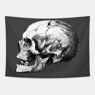 lateral skull Tapestry