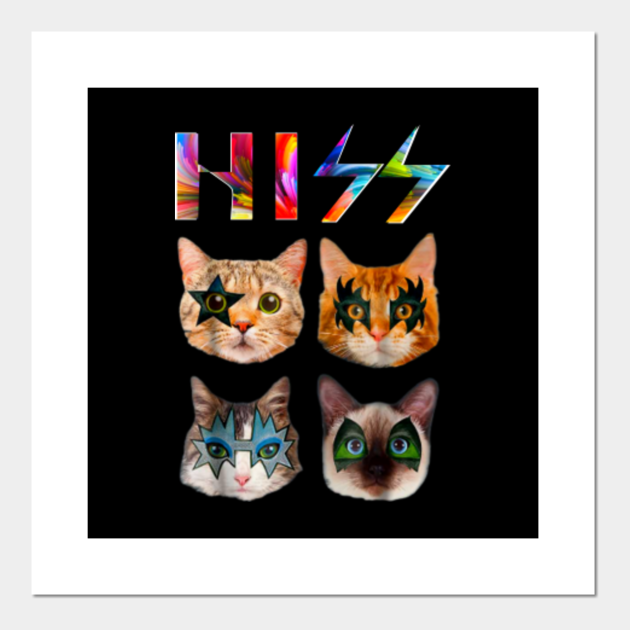 Funny looking cats, weird cat faces, cool cats and kittens ...