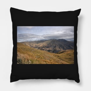 Nouvelle Zélande - paysage Sud de l'ile Pillow