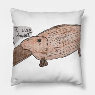 An Influential Platypus Pillow