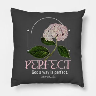 Perfect. God's way is perfect.  2 Samuel 22:31 Pillow