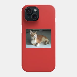 cute renji cat Phone Case