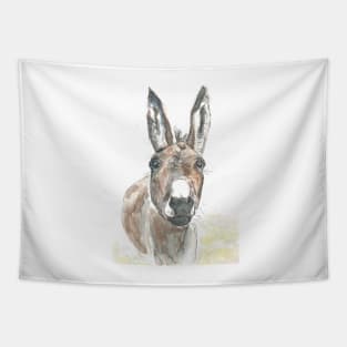 Donkey portrait. Tapestry