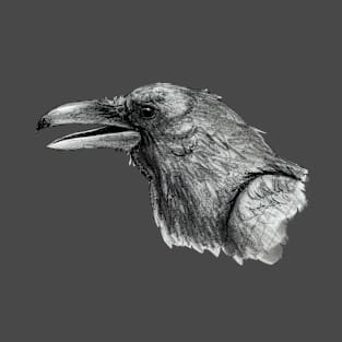 Crow Sketch T-Shirt