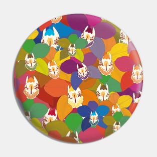 rainbow orchids Pin