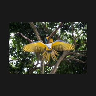 Soaring Beauty: The Majestic Flight of the Macaw T-Shirt