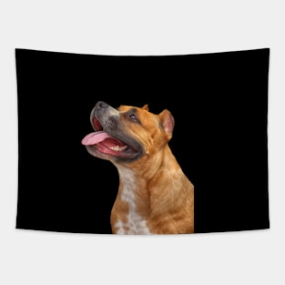 Funny American Staffordshire Terrier Tapestry