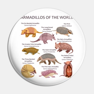 Armadillo Species of the World (light background) Pin