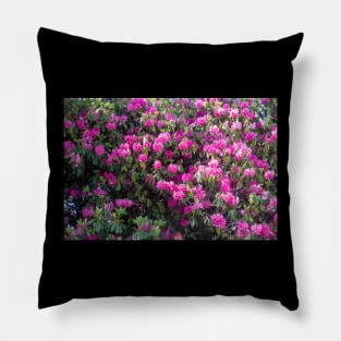 Blossoming Pillow