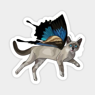 Ulysses Swallowtail Snowshoe Siamese Flitter Kitty Magnet