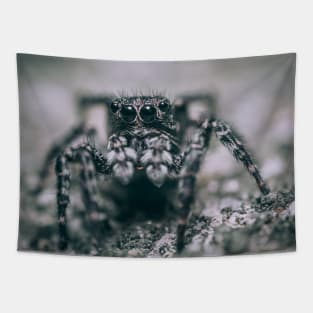 Legs Like Horns, Jumping Spider Macro Photograph Tapestry