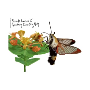 Snowberry Clearwing X Diervilla Lonicera T-Shirt