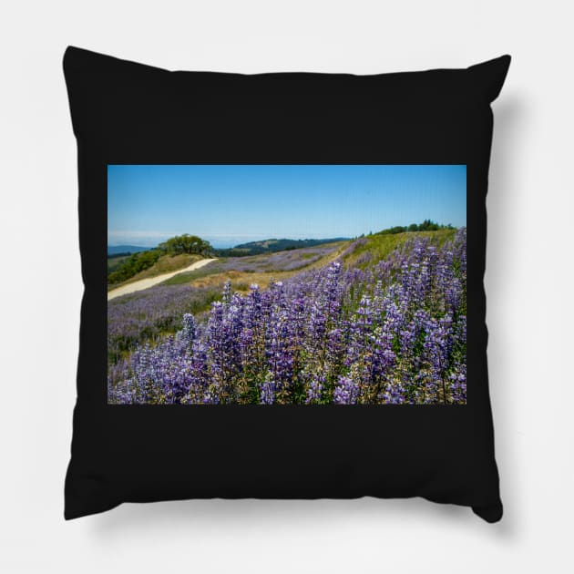 Lupine blooming on the hills Pillow by blossomcophoto