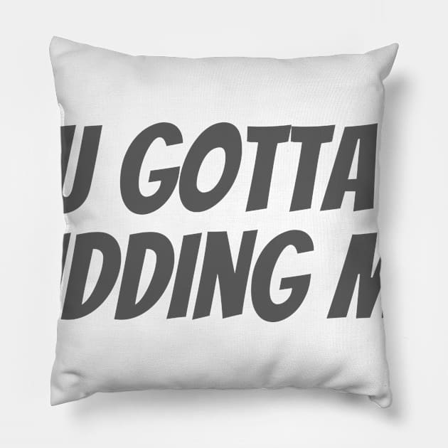 Kidding Me Pillow by ryanmcintire1232