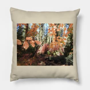 Fall foliage, autumn, scenery, nature, gifts Pillow