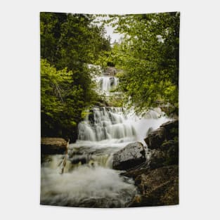 Rats Waterfall Mont-Tremblant National Park, Quebec V2 Tapestry