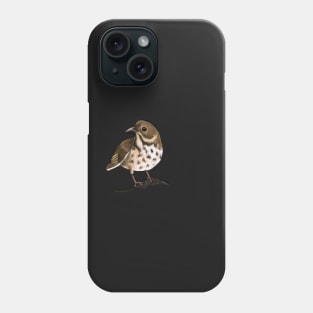 Hermit Thrush Phone Case