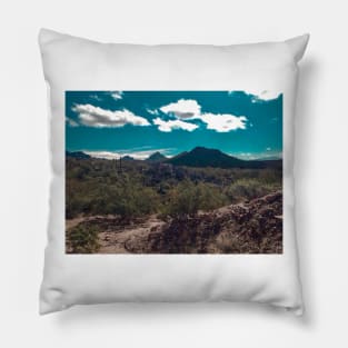 Arizona-Sonora Desert Pillow