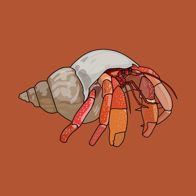 Hermit crab cartoon illustration by Miss Cartoon