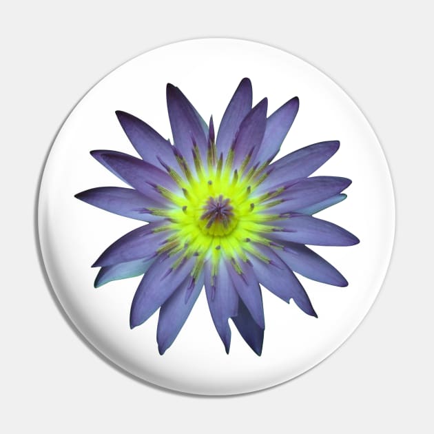 Water Lily Pin by Oopsie Daisy!