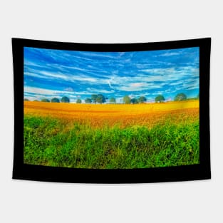 Summer Country Scene Tapestry