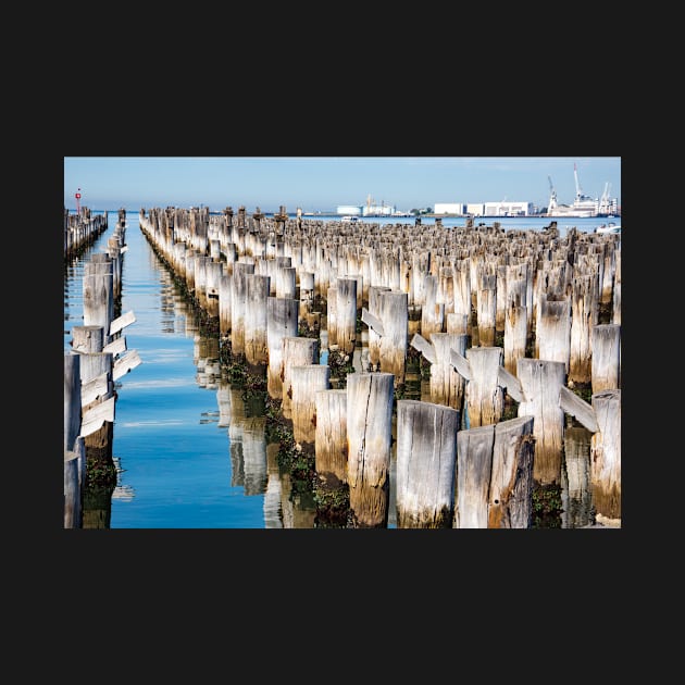 Wooden piles off Princess Pier, Melbourne. by sma1050