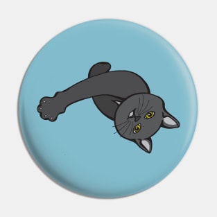Curious Kitten Pin