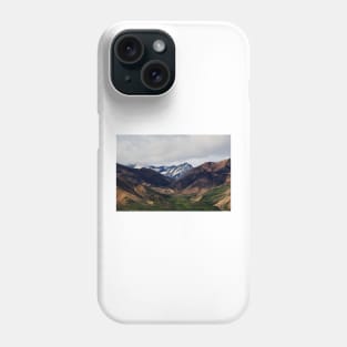 WGC_1264 Phone Case