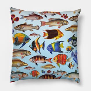 Colorful fish in the ocean Pillow