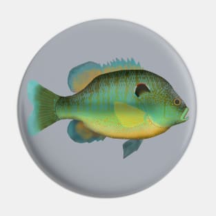 Northern Sunfish Pin