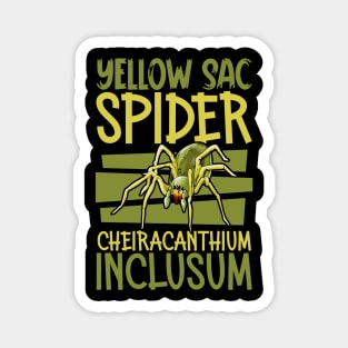 Yellow Sac Spider Magnet