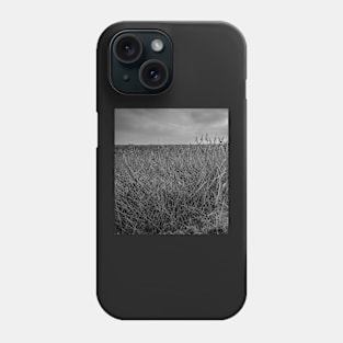 Norfolk reed bed Phone Case