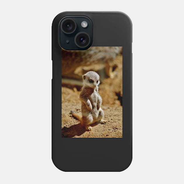 Meerkat Style Phone Case by Ladymoose