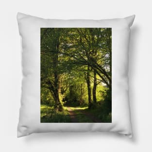 Beautiful Forest Walk In France Pillow