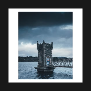 Cormorants on Vartry Reservoir T-Shirt