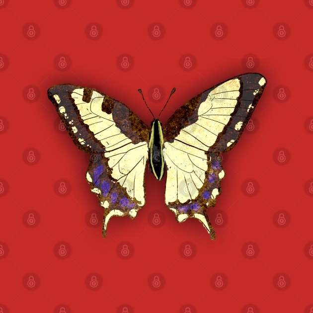 Bugs-8 Papilio Machaon by Komigato