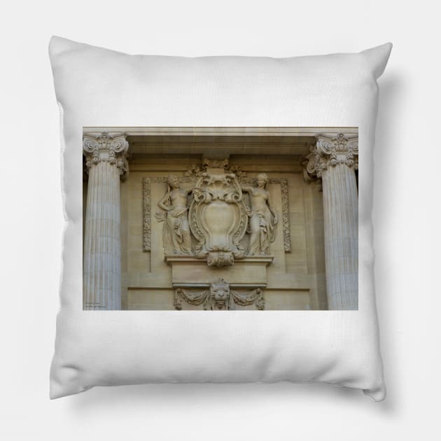 Le Grand Palais - Intricate Details © Pillow by PrinceJohn