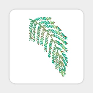 Mimosa Leaves Magnet