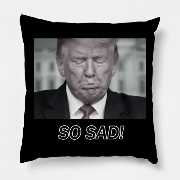 SO SAD! Pillow by colormecolorado