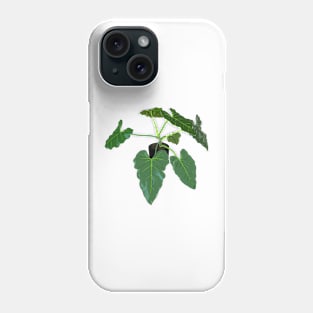 Philodendron giganteum Phone Case