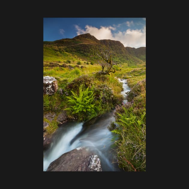 Craig Cerrig-gleisiad, Brecon Beacons National Park by dasantillo